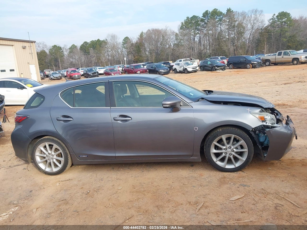 Image 13