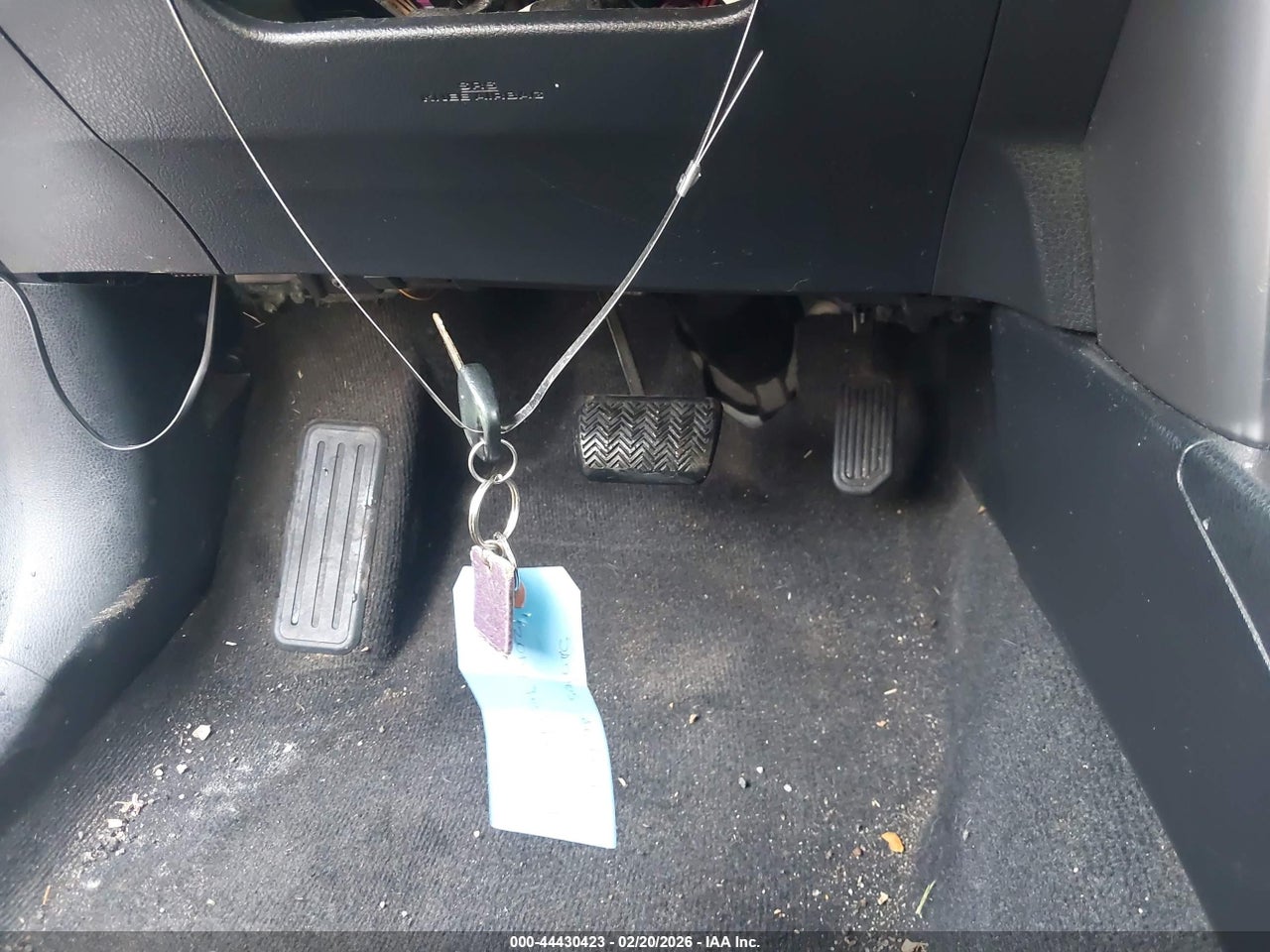 Image 11