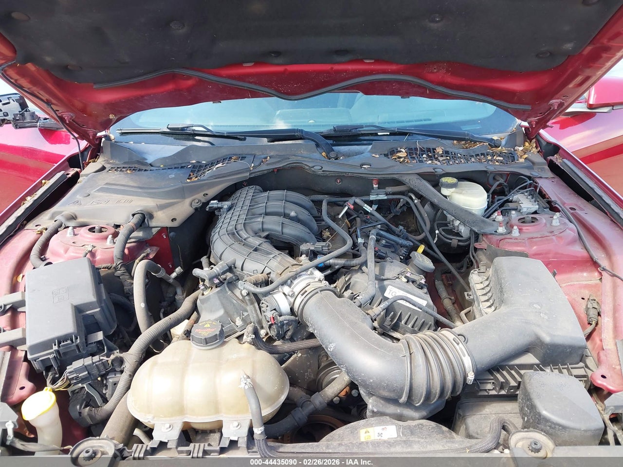 2016 FORD MUSTANG V6 thumbnail 11