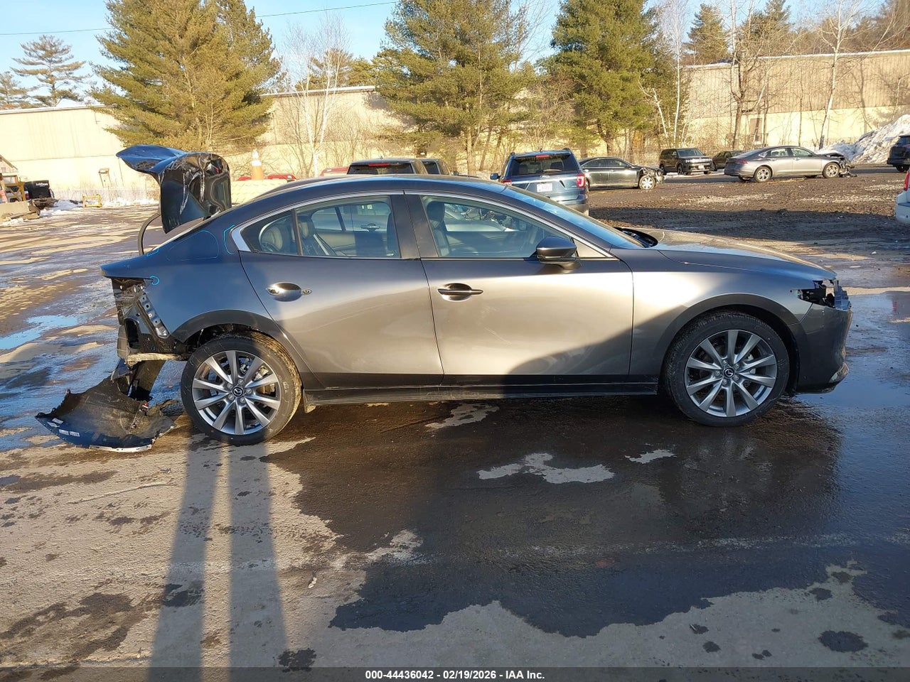 Image 13