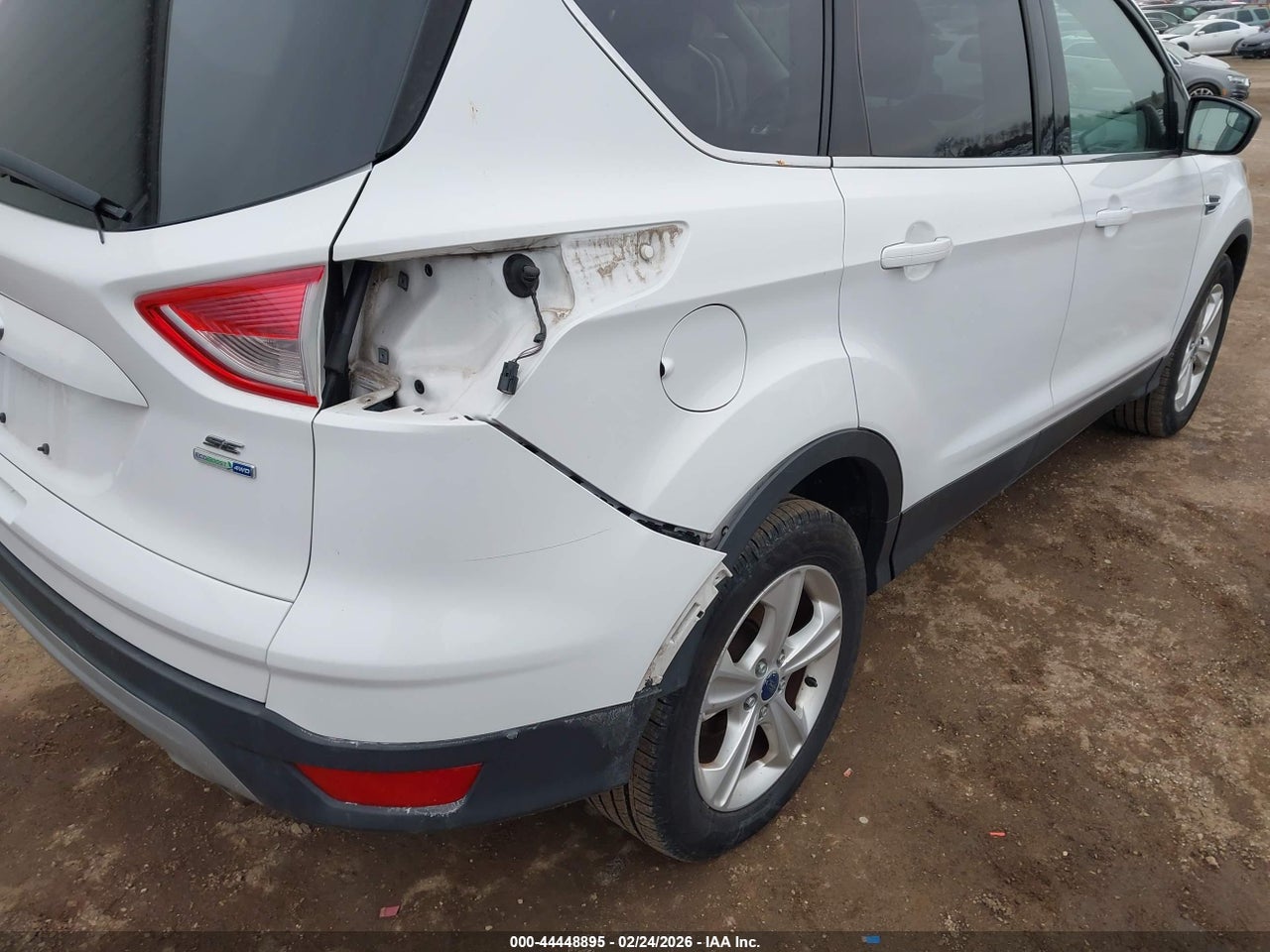 Image 6