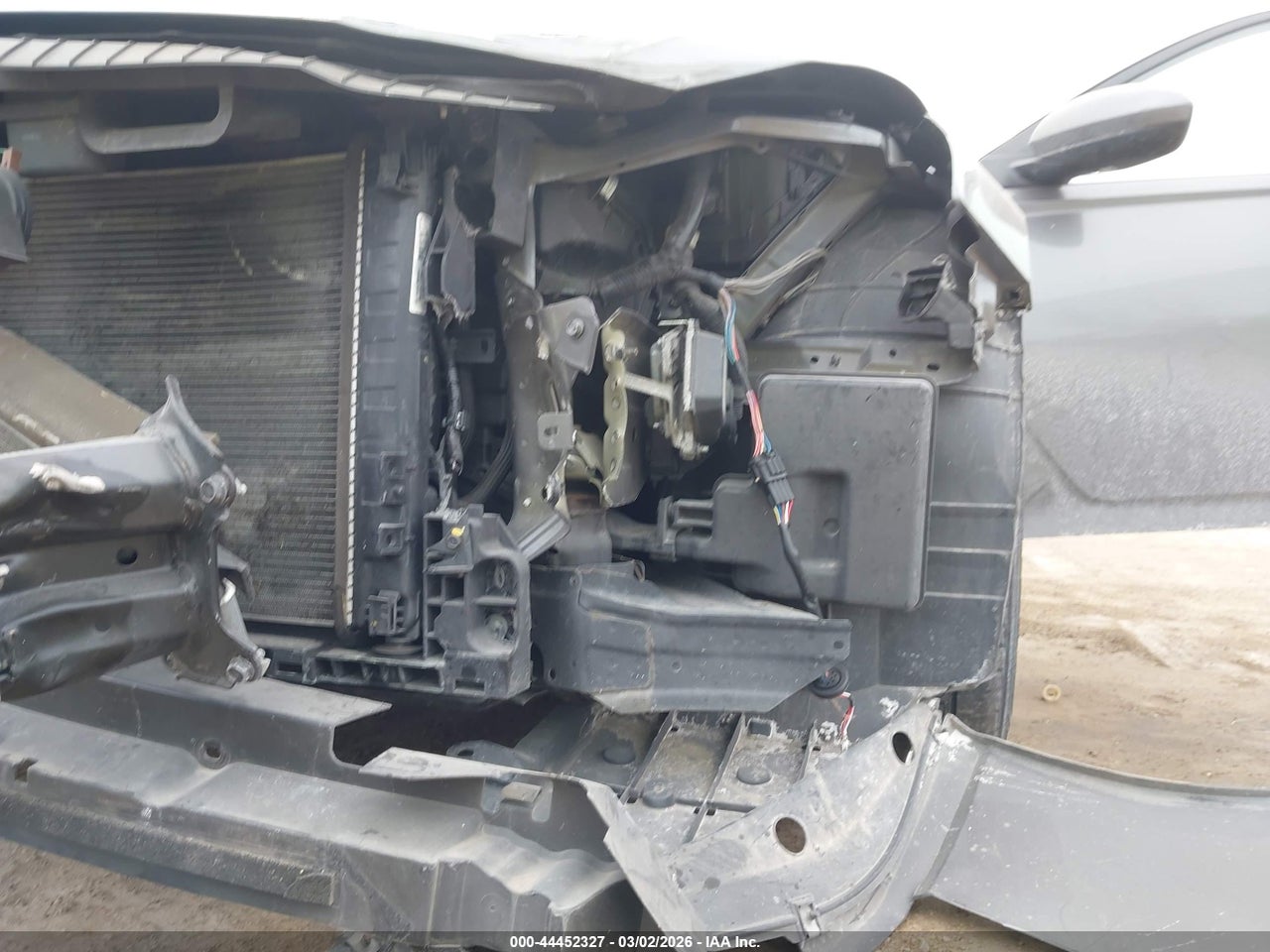 Image 20