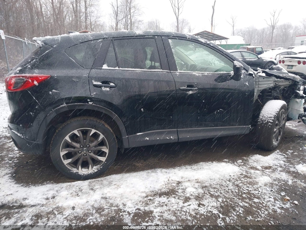 Image 13