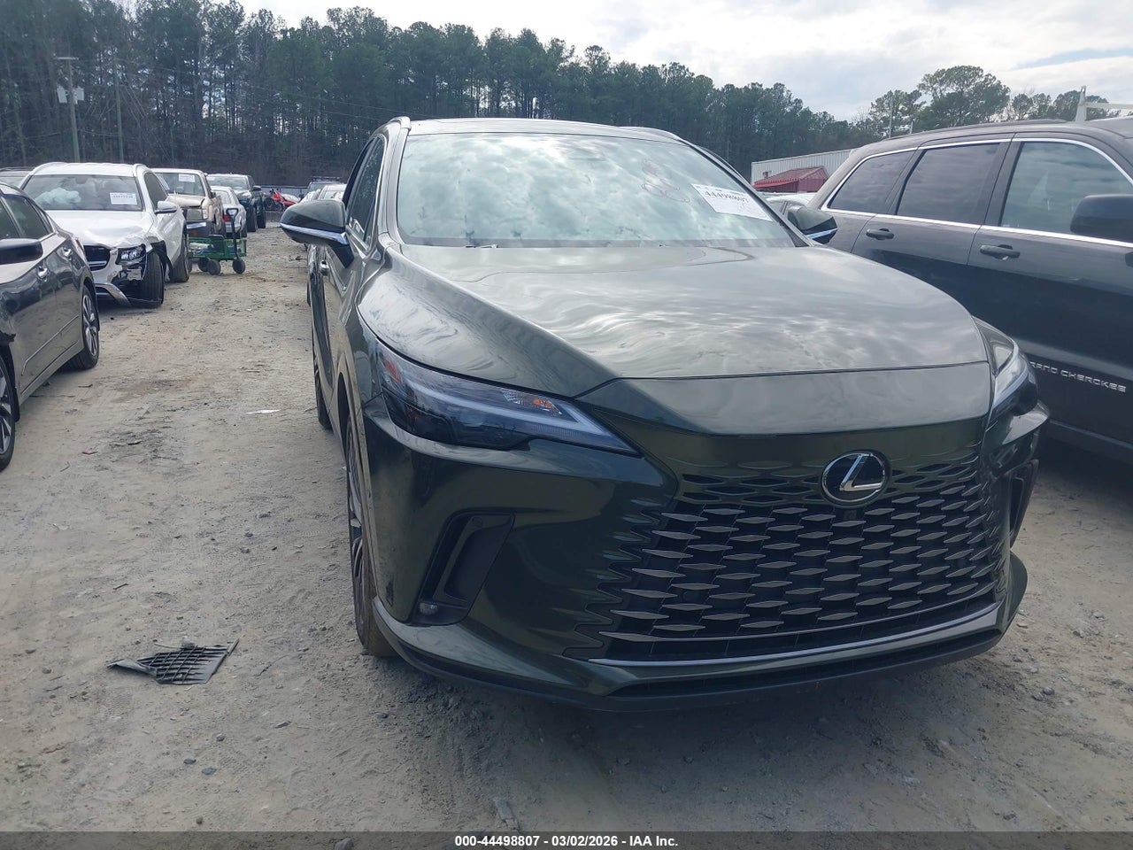 2024 Lexus RX