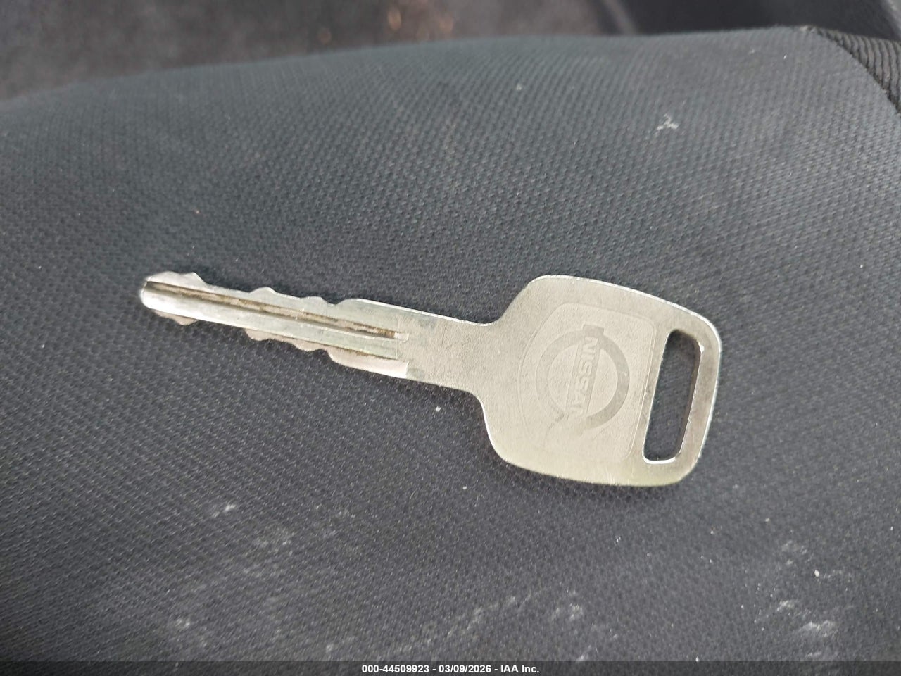 Image 11