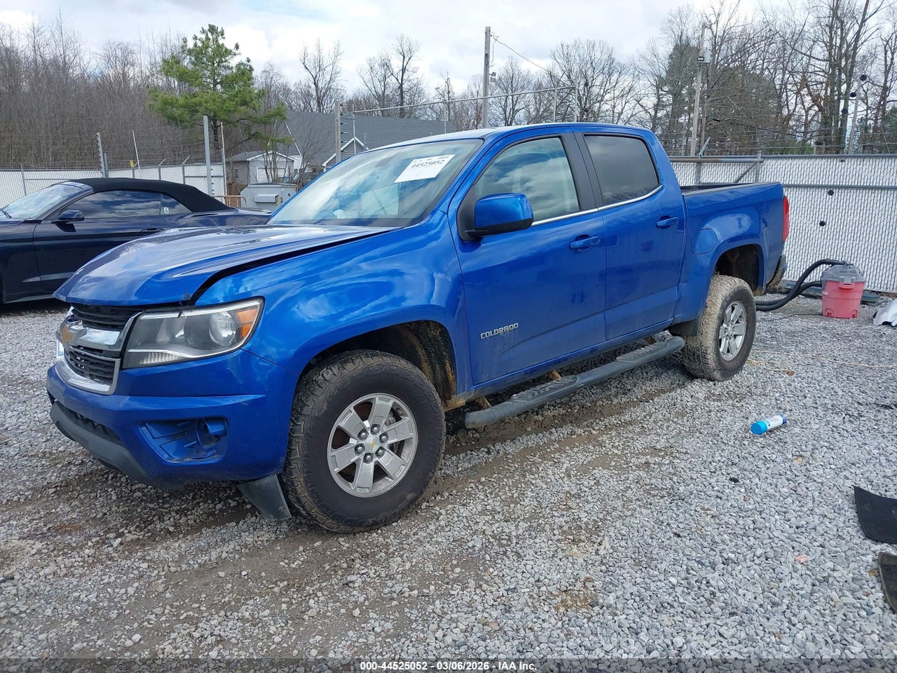 Image 2