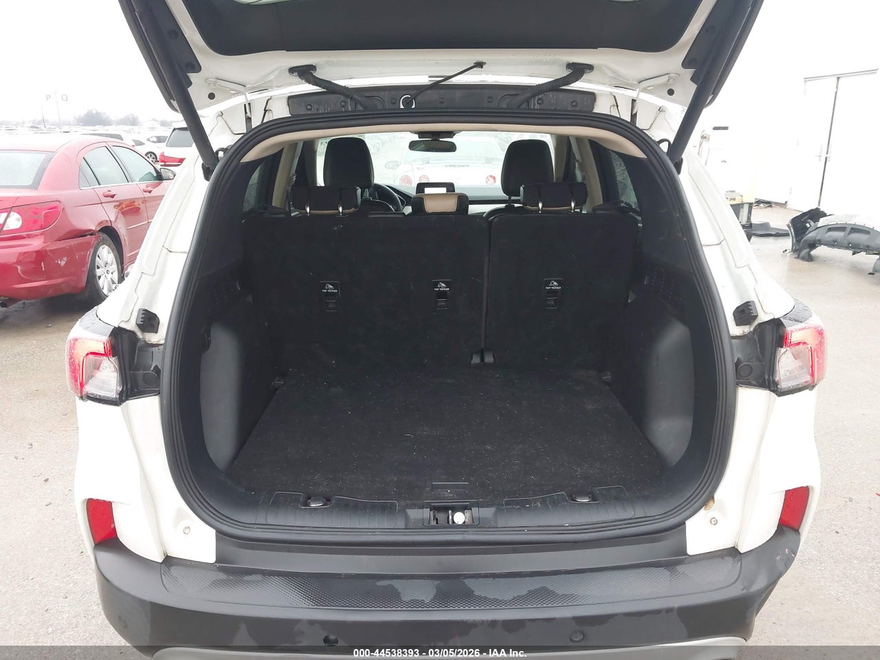 Image 19