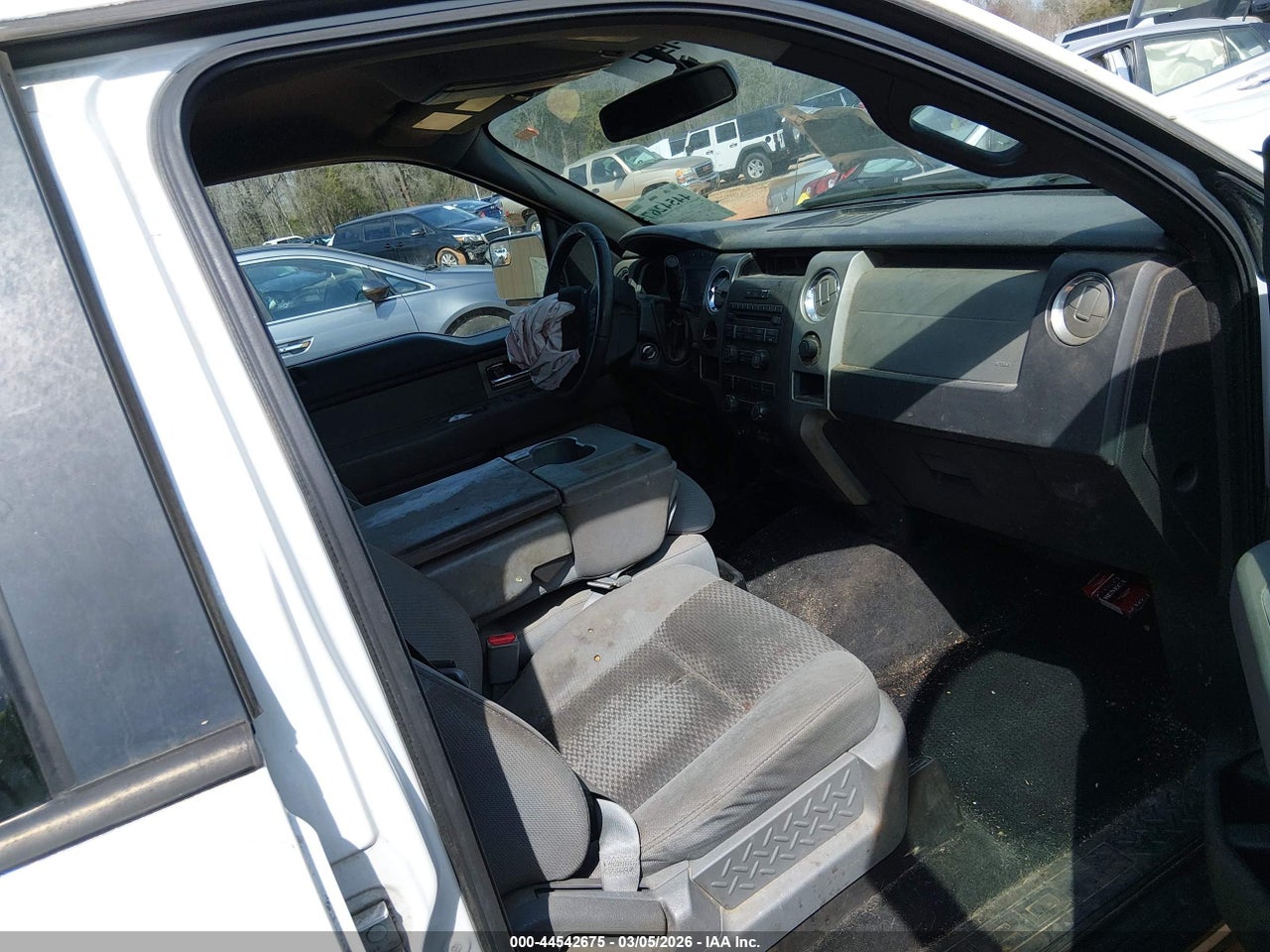 Image 5