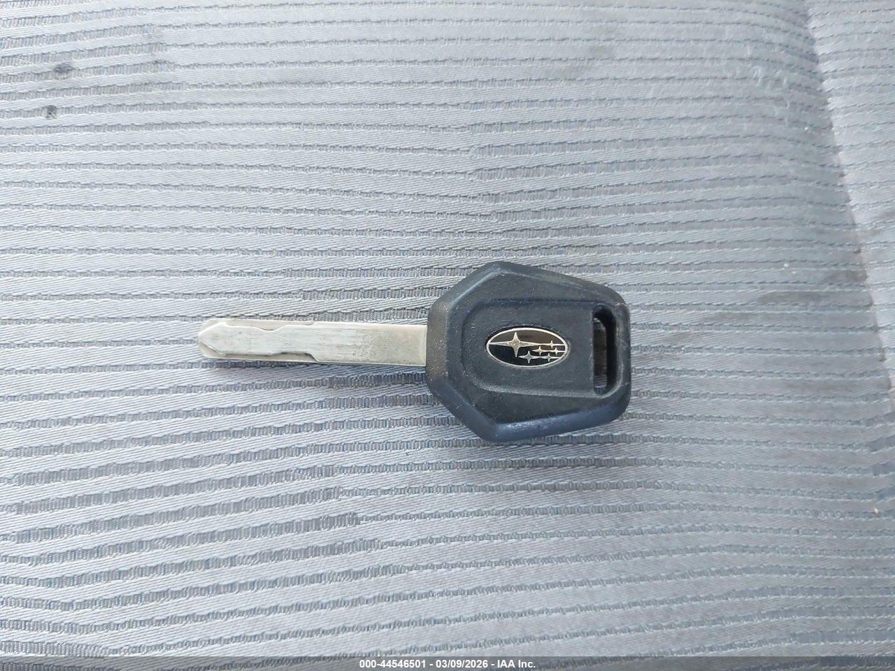 Image 11