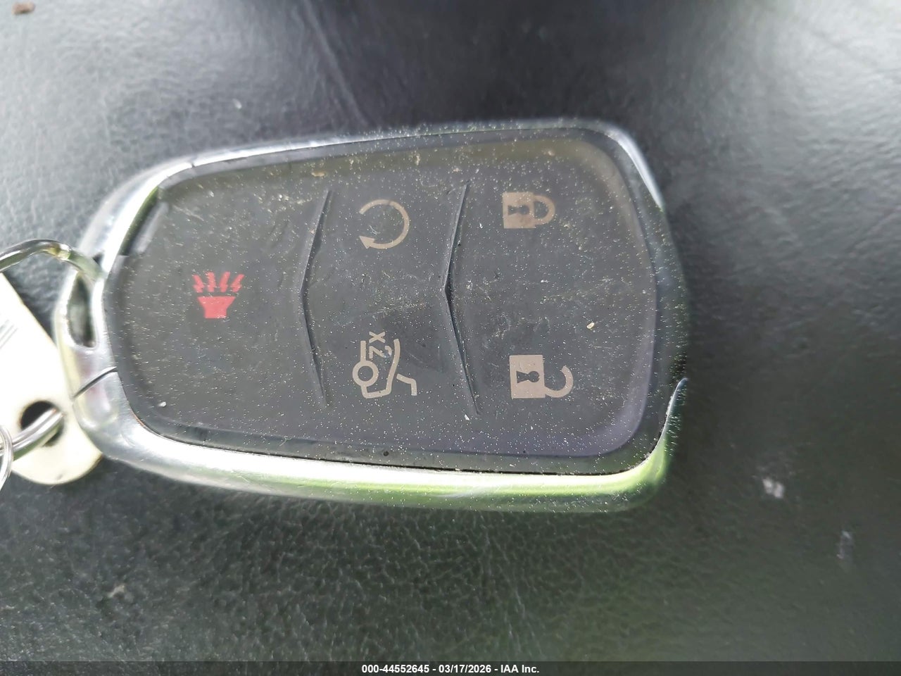 Image 11