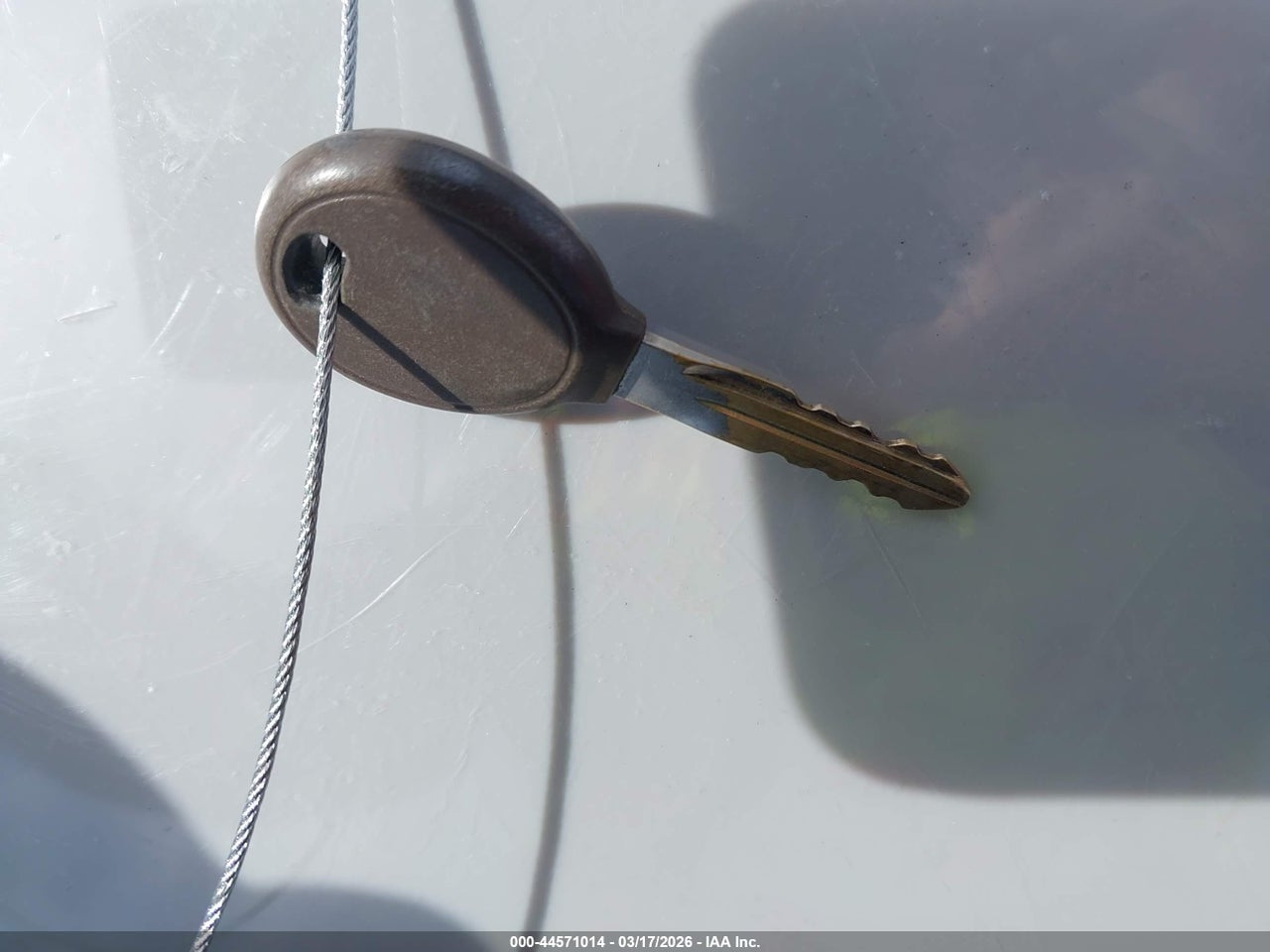 Image 11