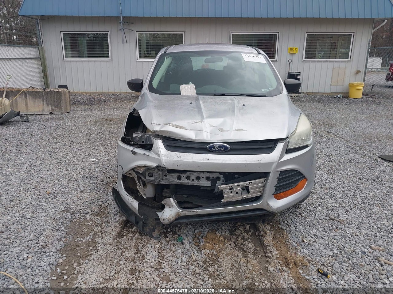 Image 6