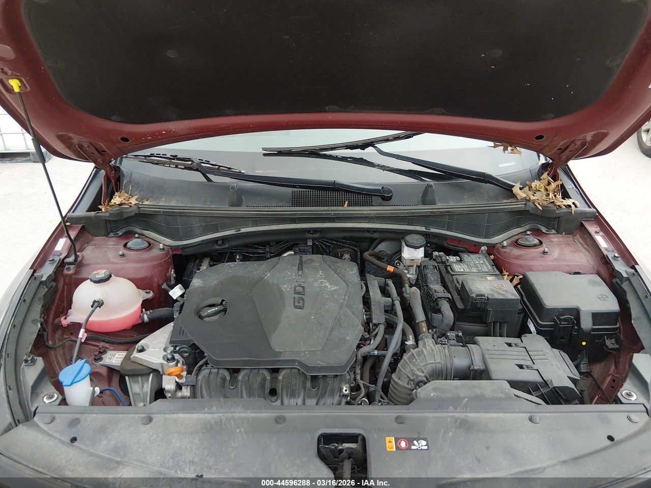 Image 10