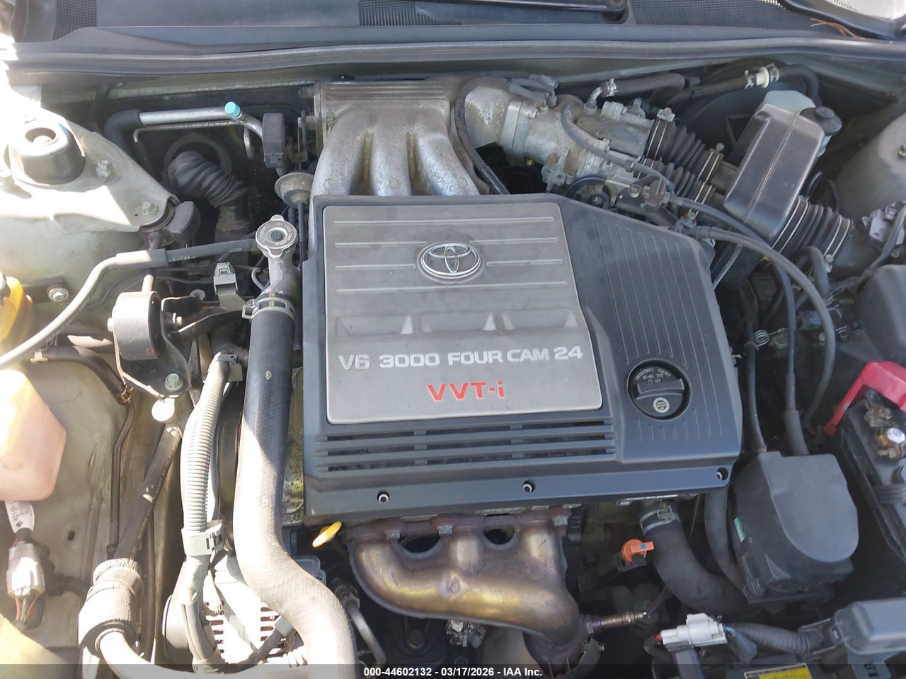 Image 10