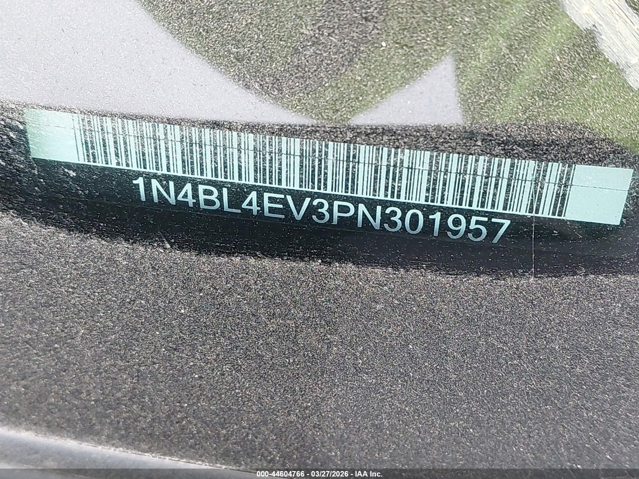 Image 9