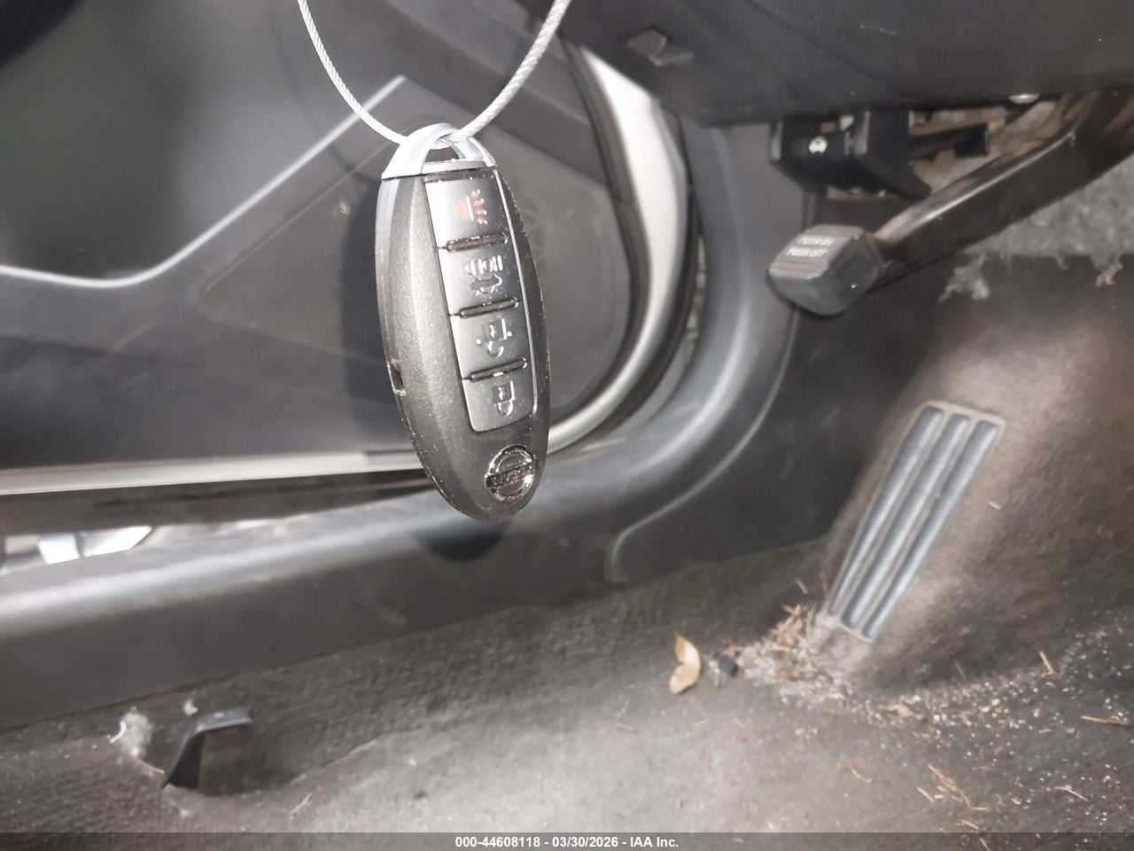 Image 11