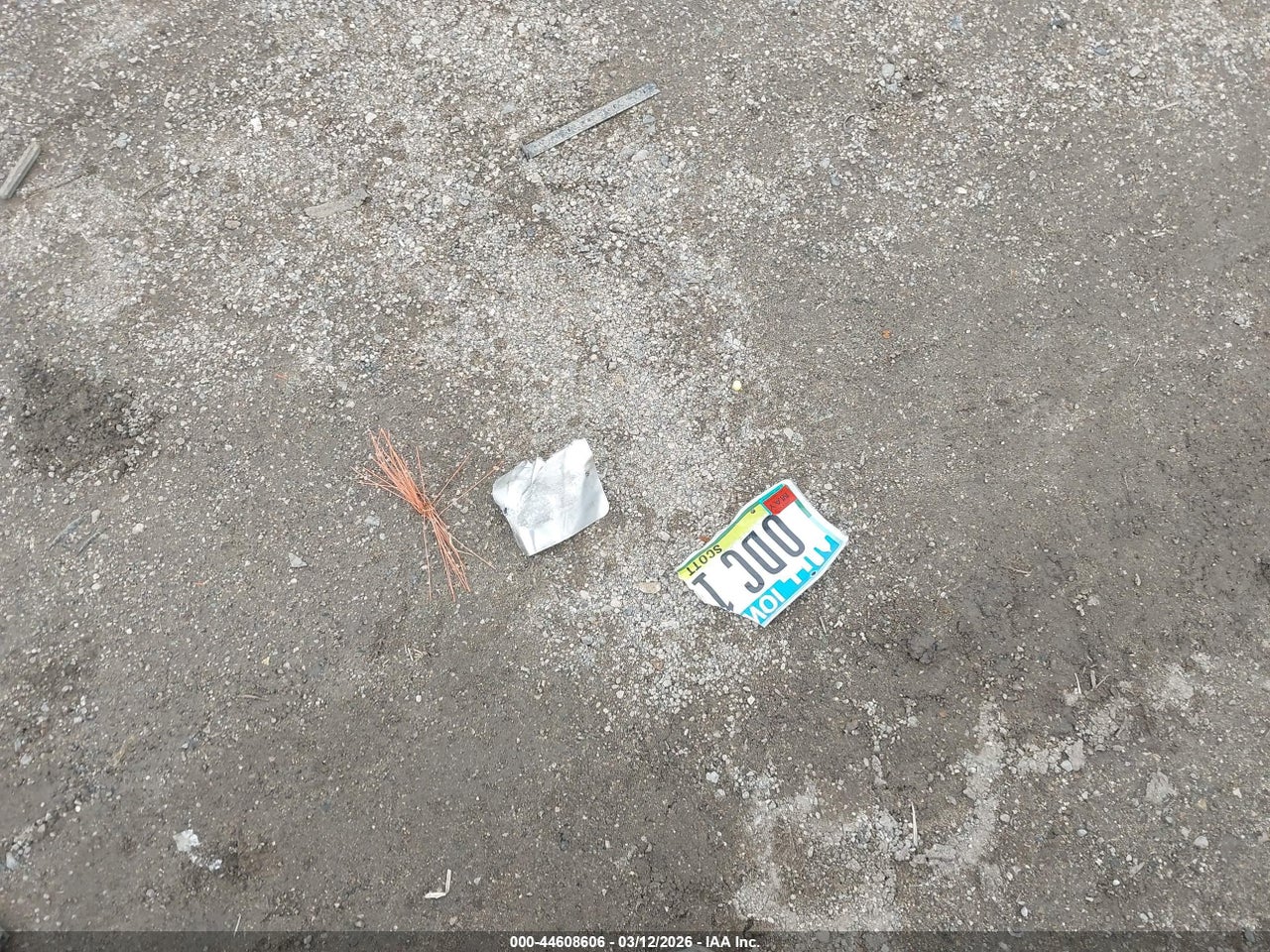 Image 12