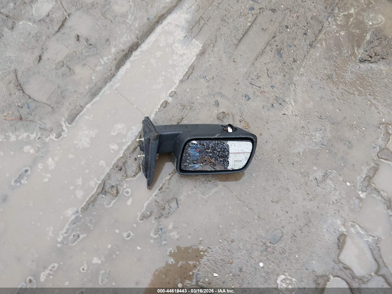 Image 12