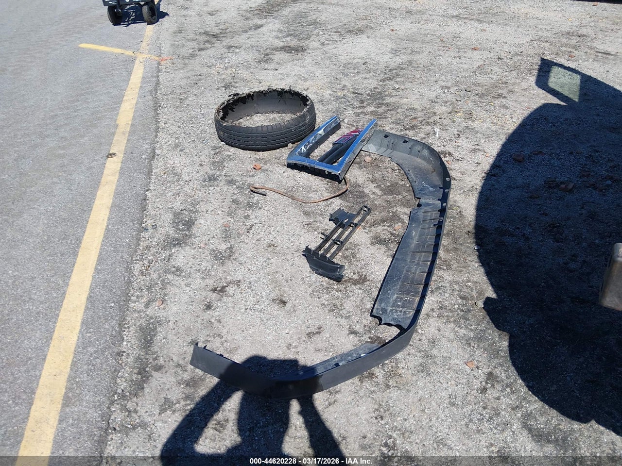 Image 12