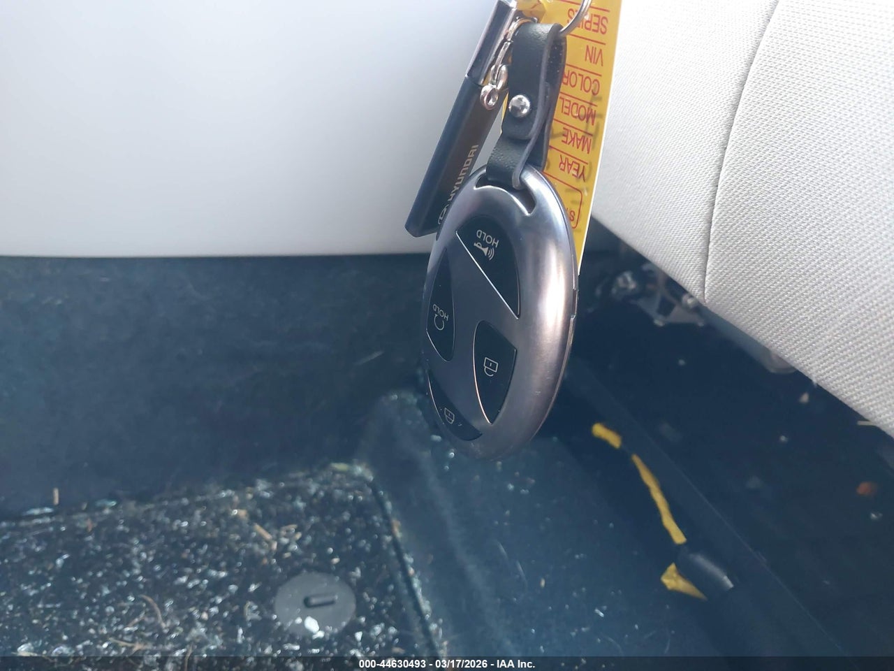 Image 11