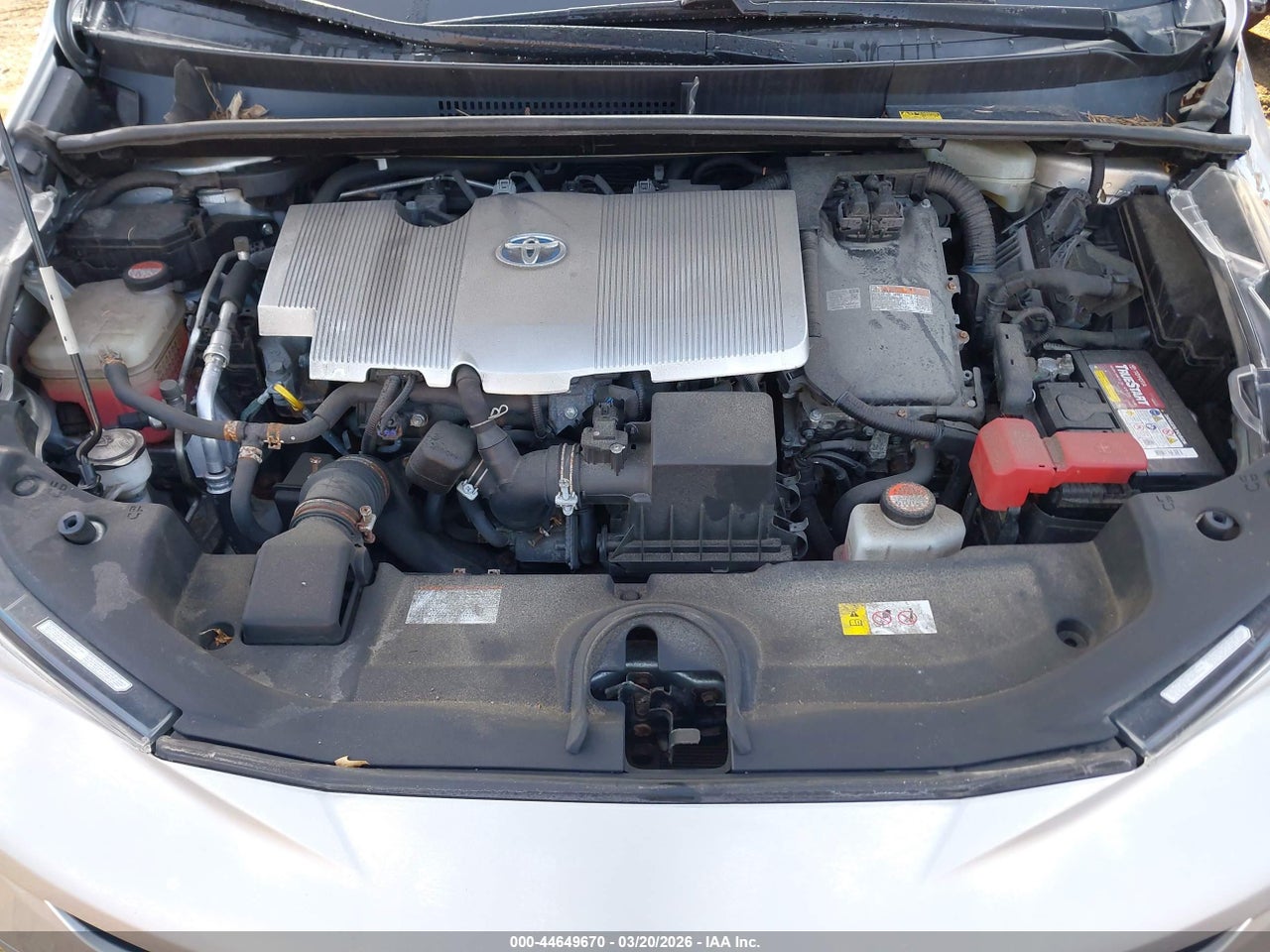Image 10