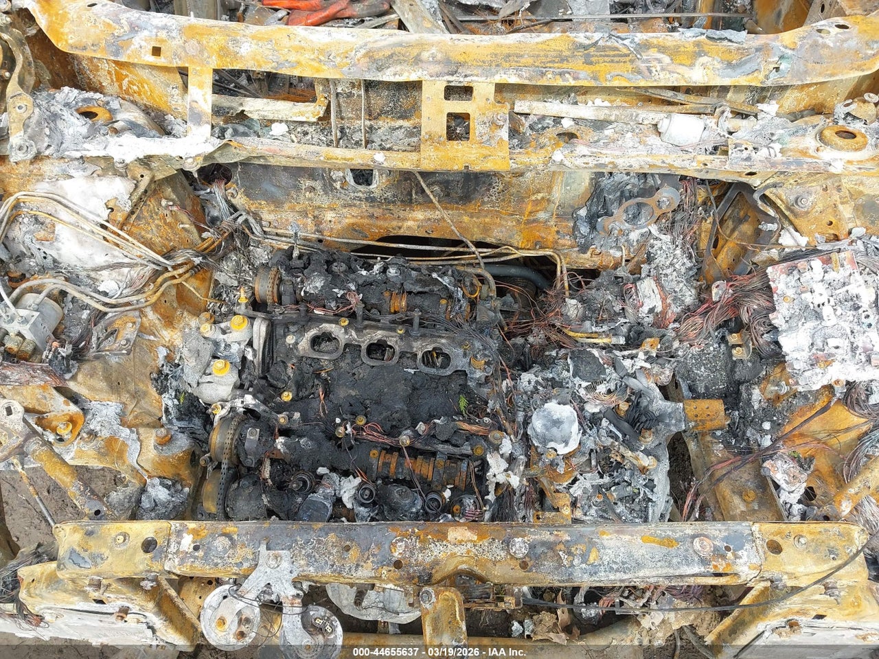 Image 10