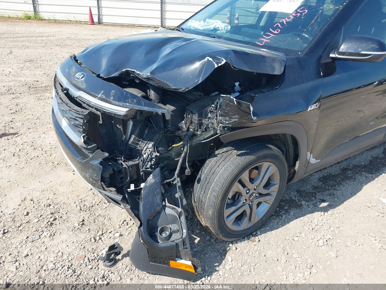 Image 17