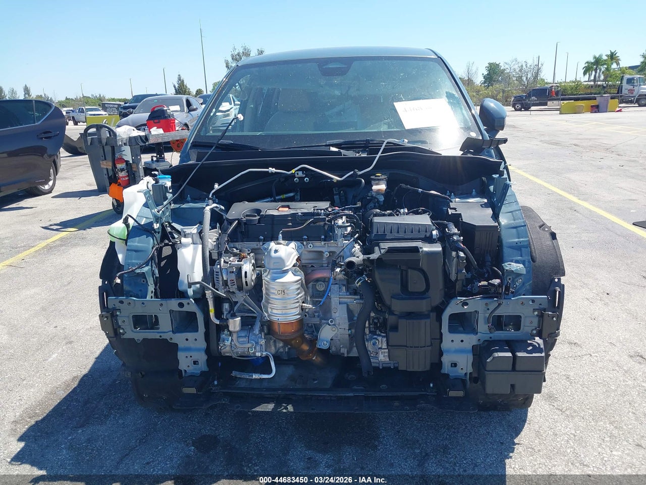 Image 12