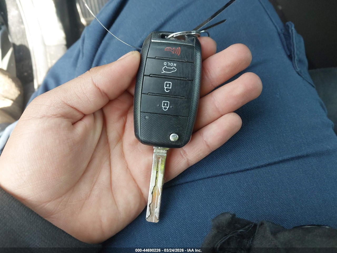 Image 11