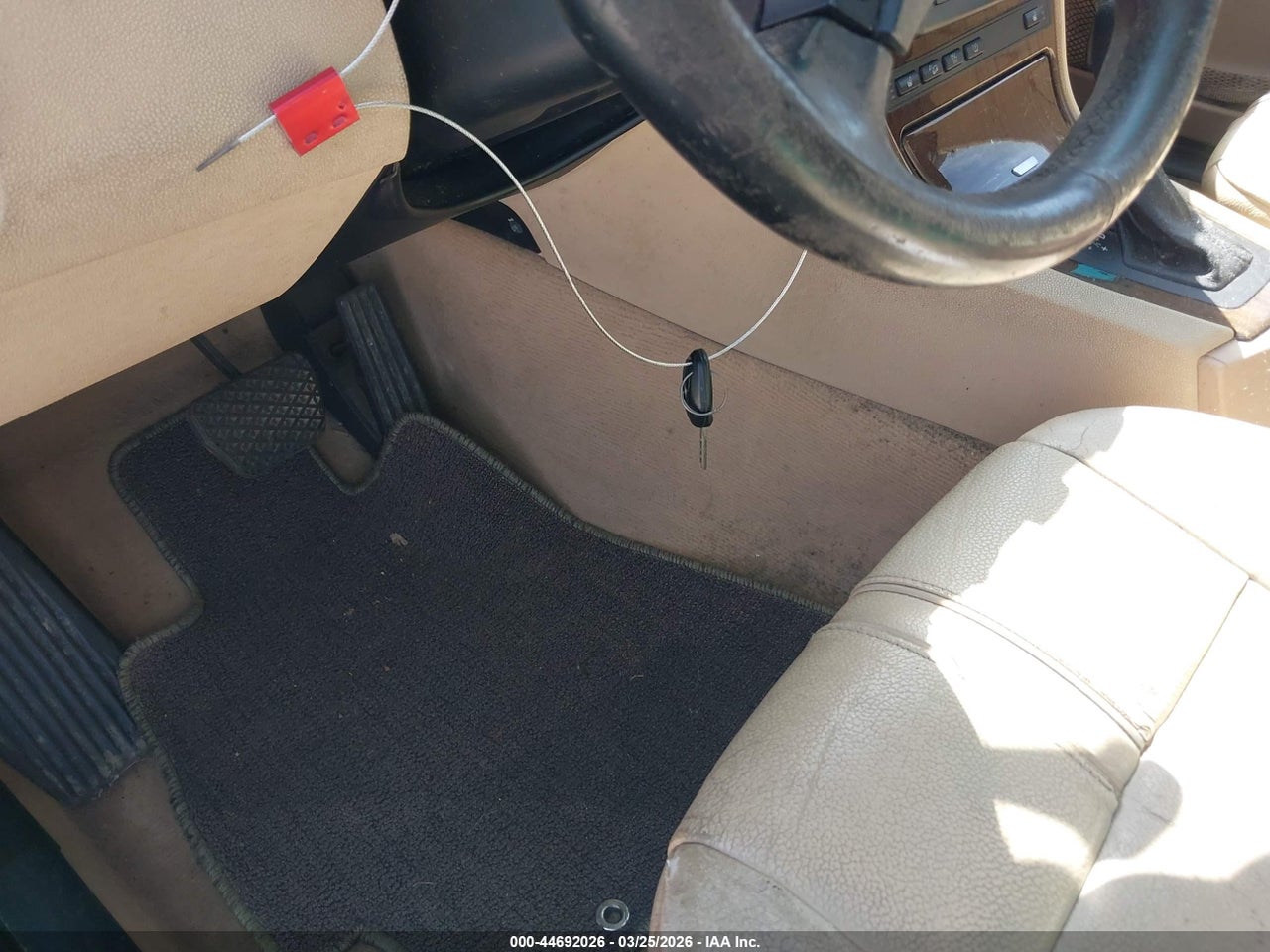 Image 11
