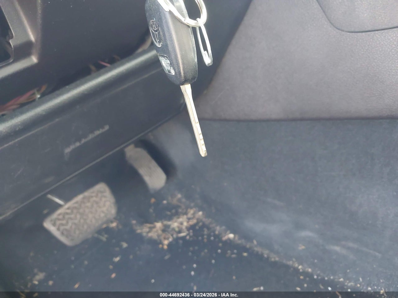 Image 11
