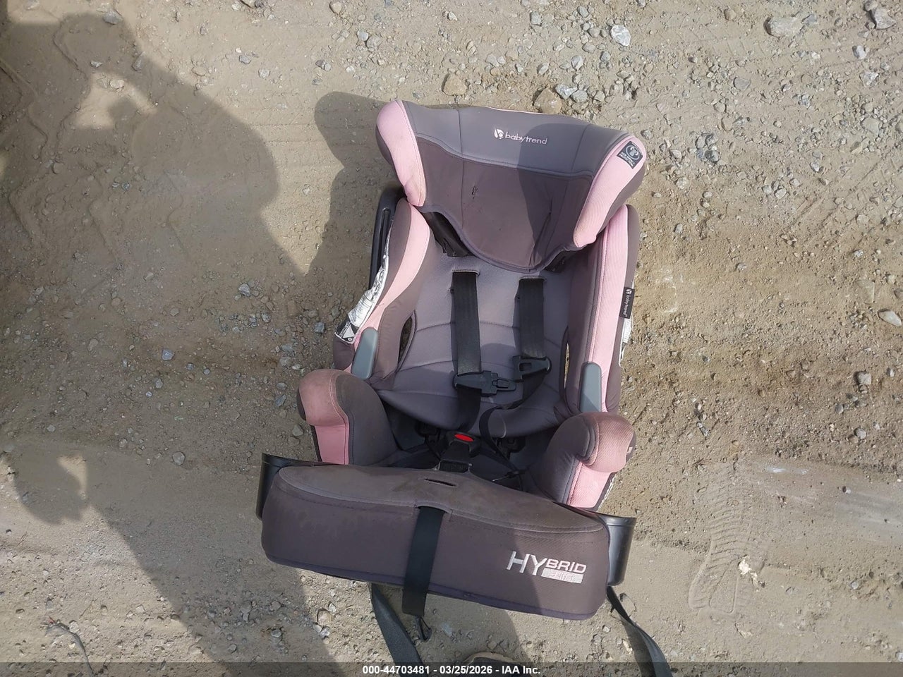 Image 12