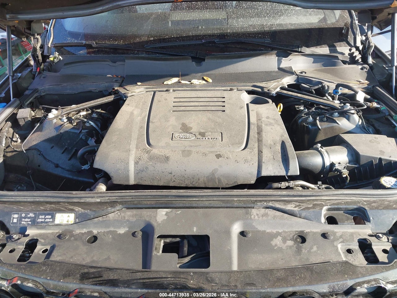 Image 10