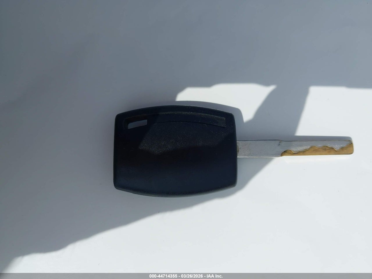 Image 11