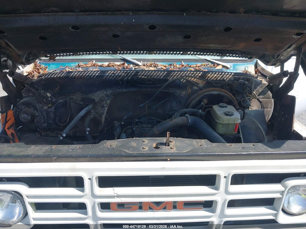 Image 9