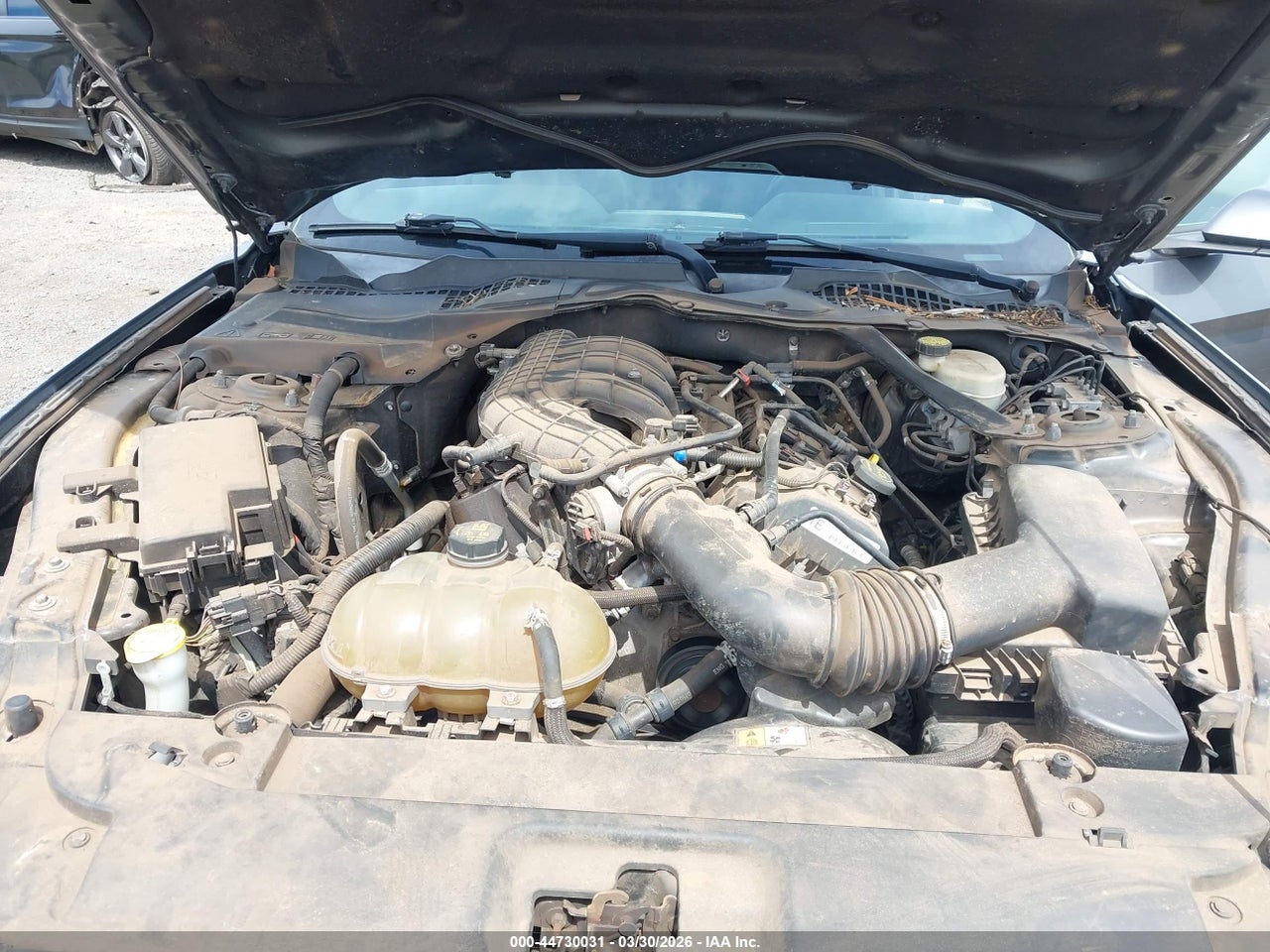 2015 FORD MUSTANG V6 thumbnail 11