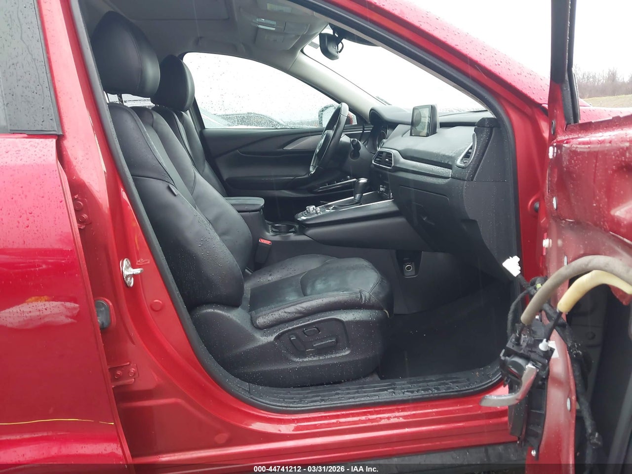 Image 5