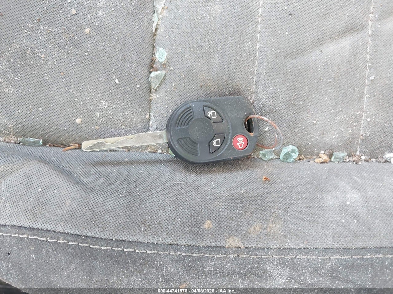 Image 11