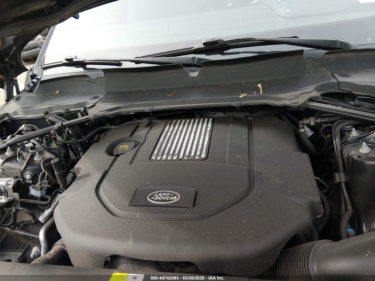 Image 10