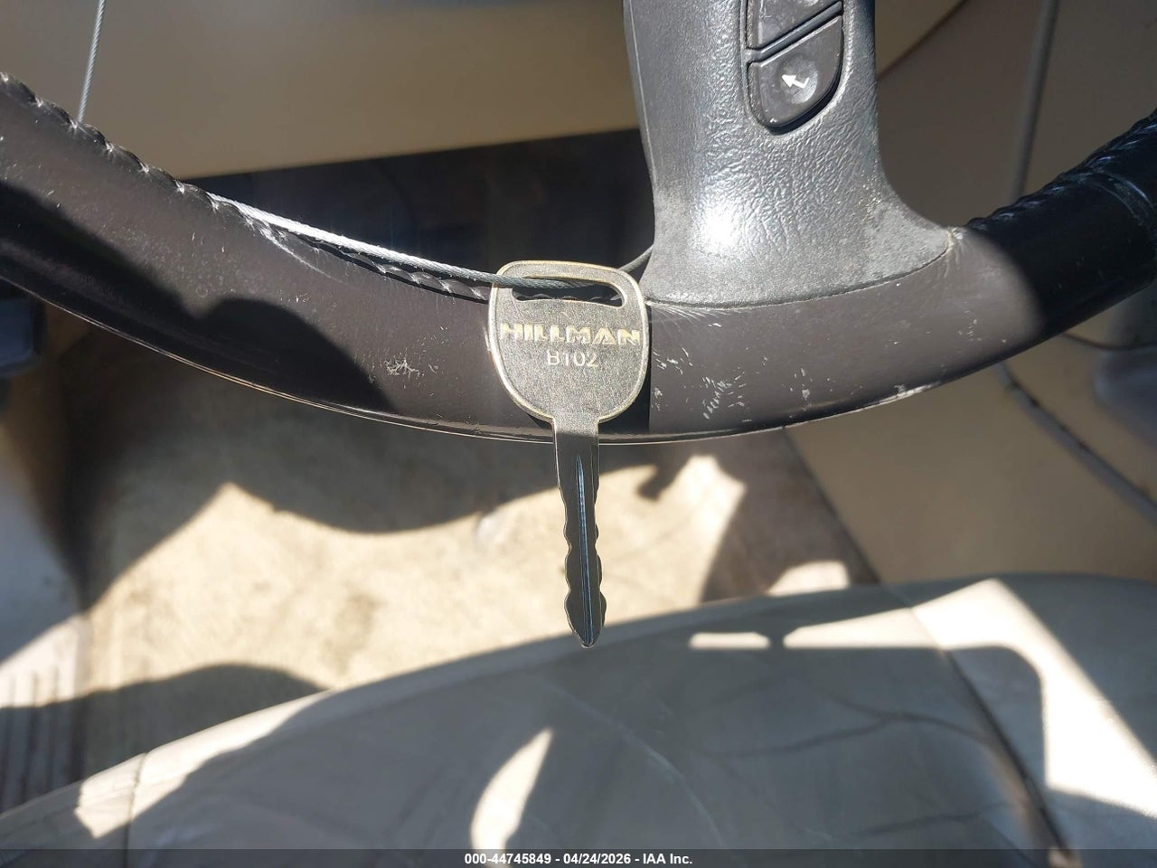 Image 11