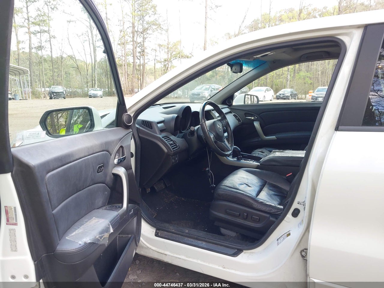 Image 5