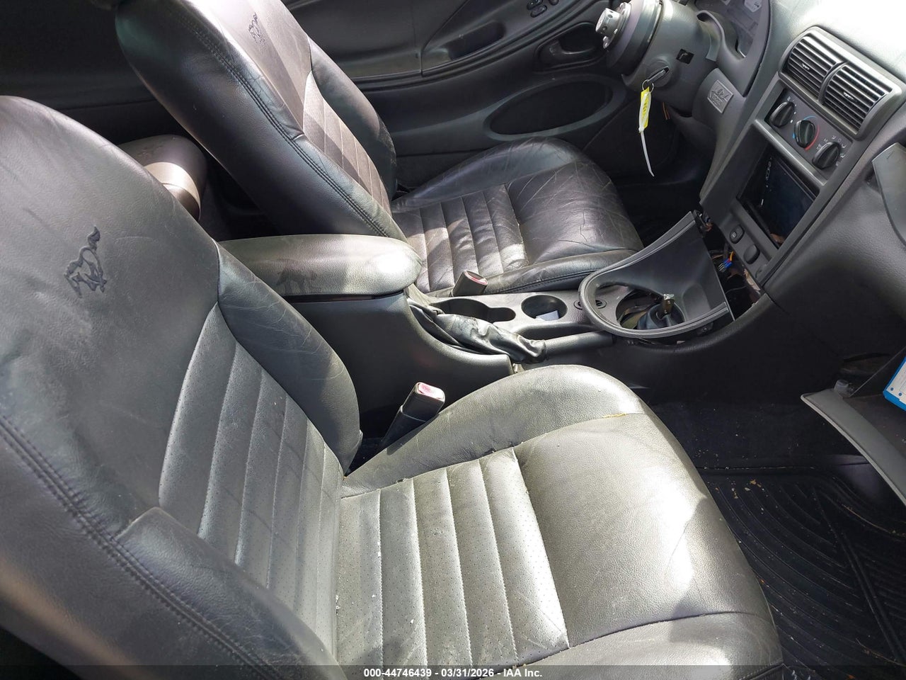 Image 5