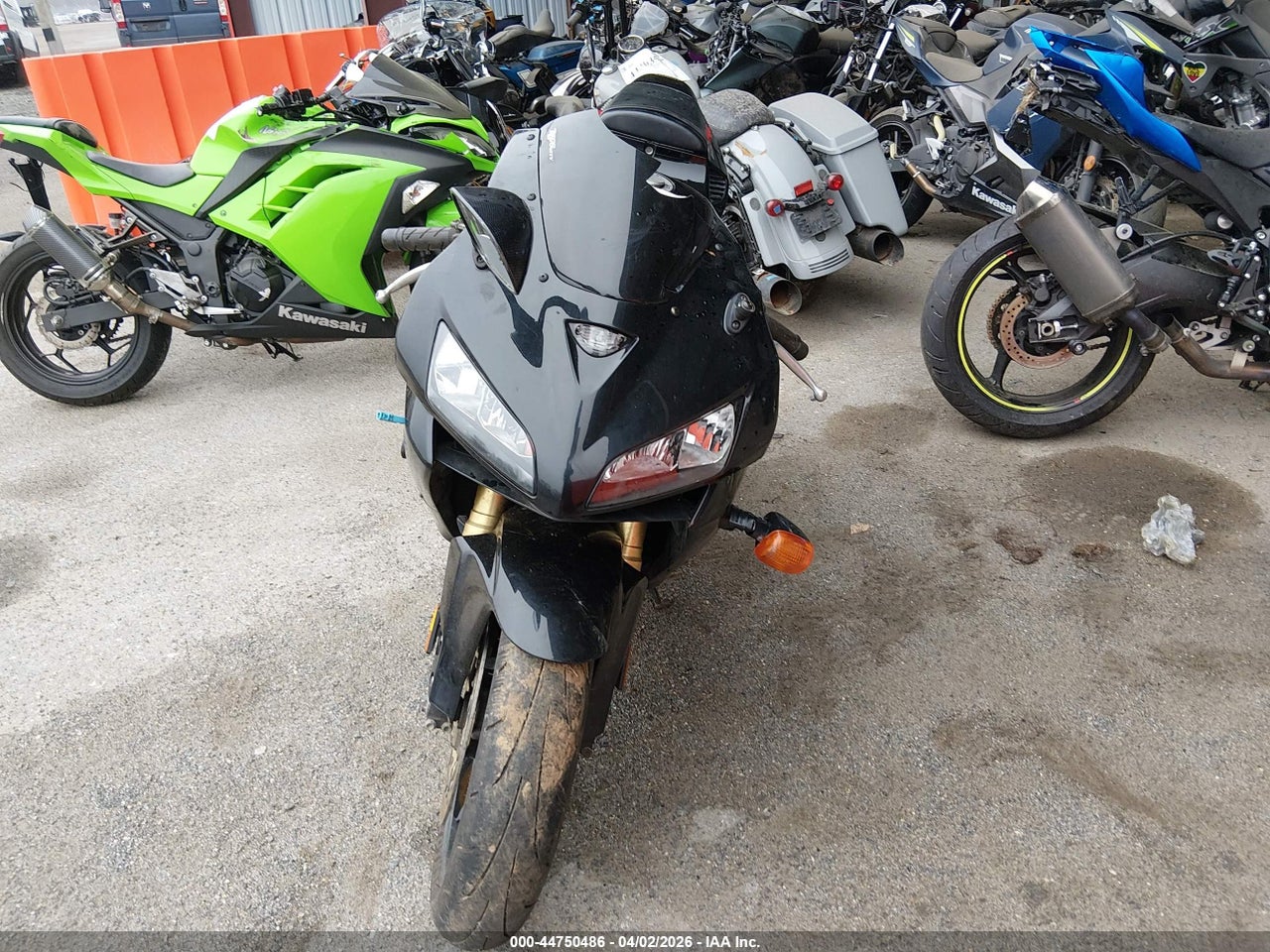 Image 5