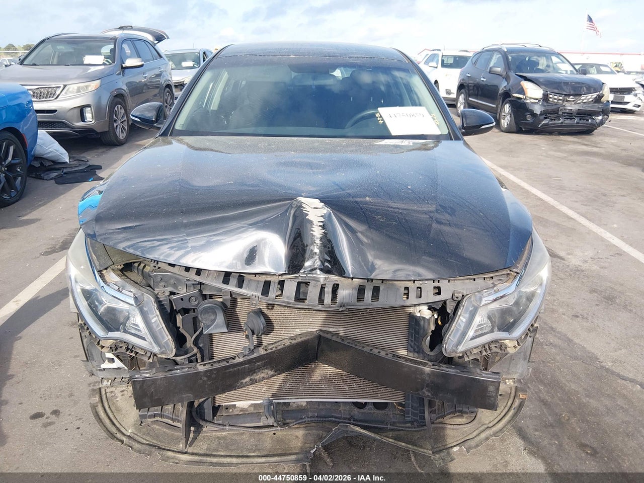 Image 13