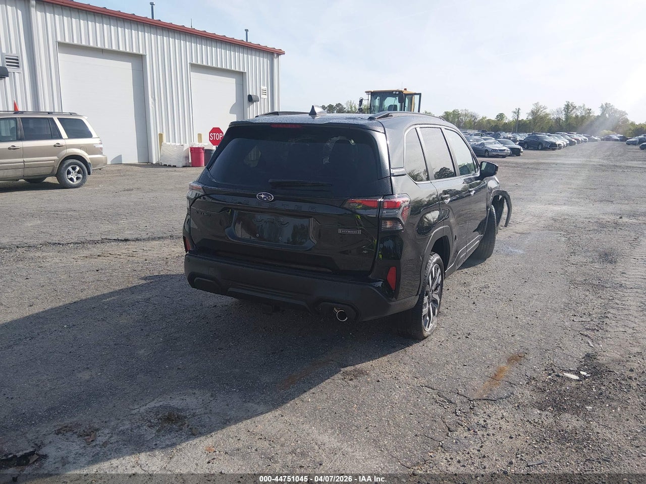 Image 4