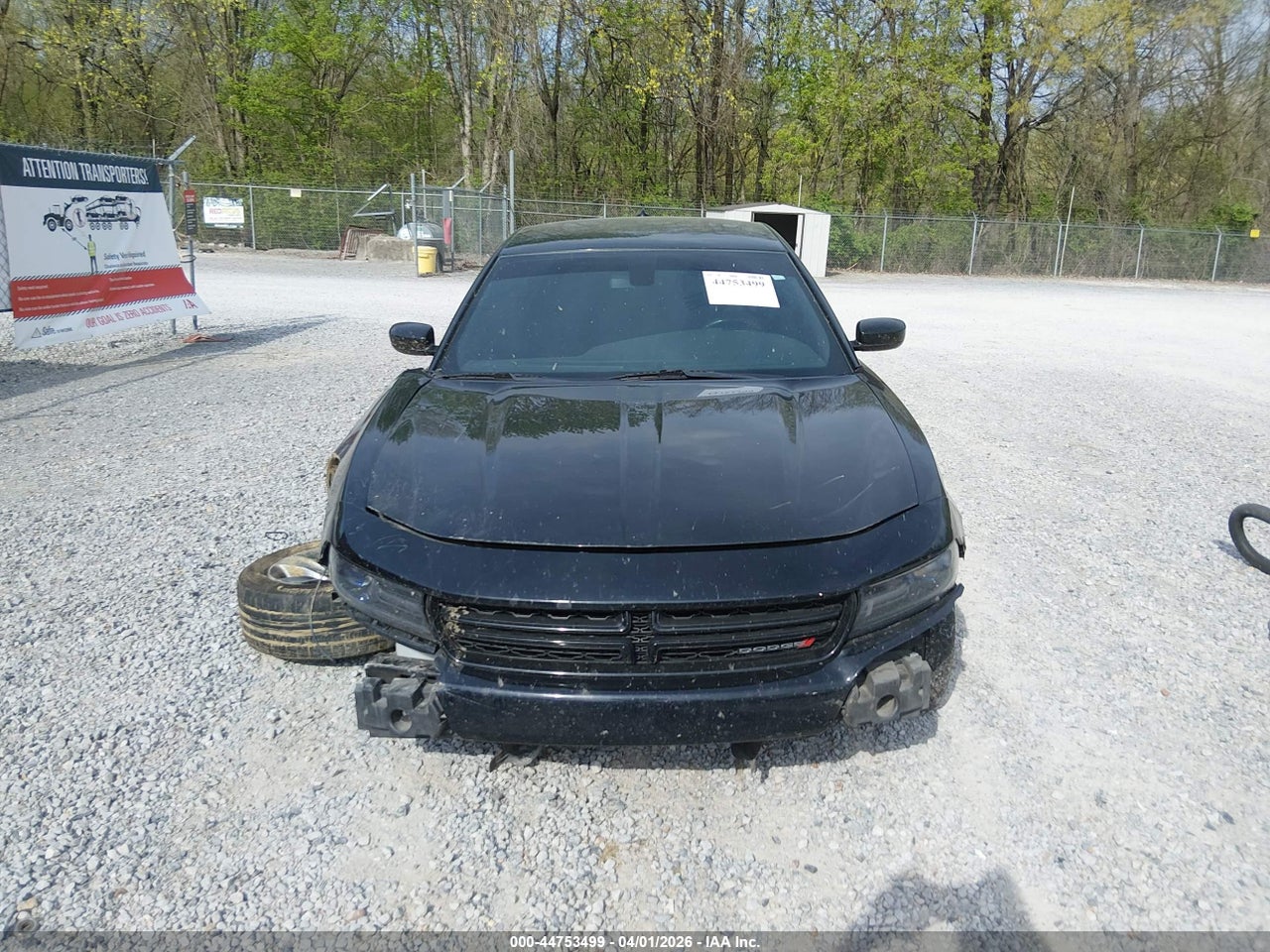 Image 11
