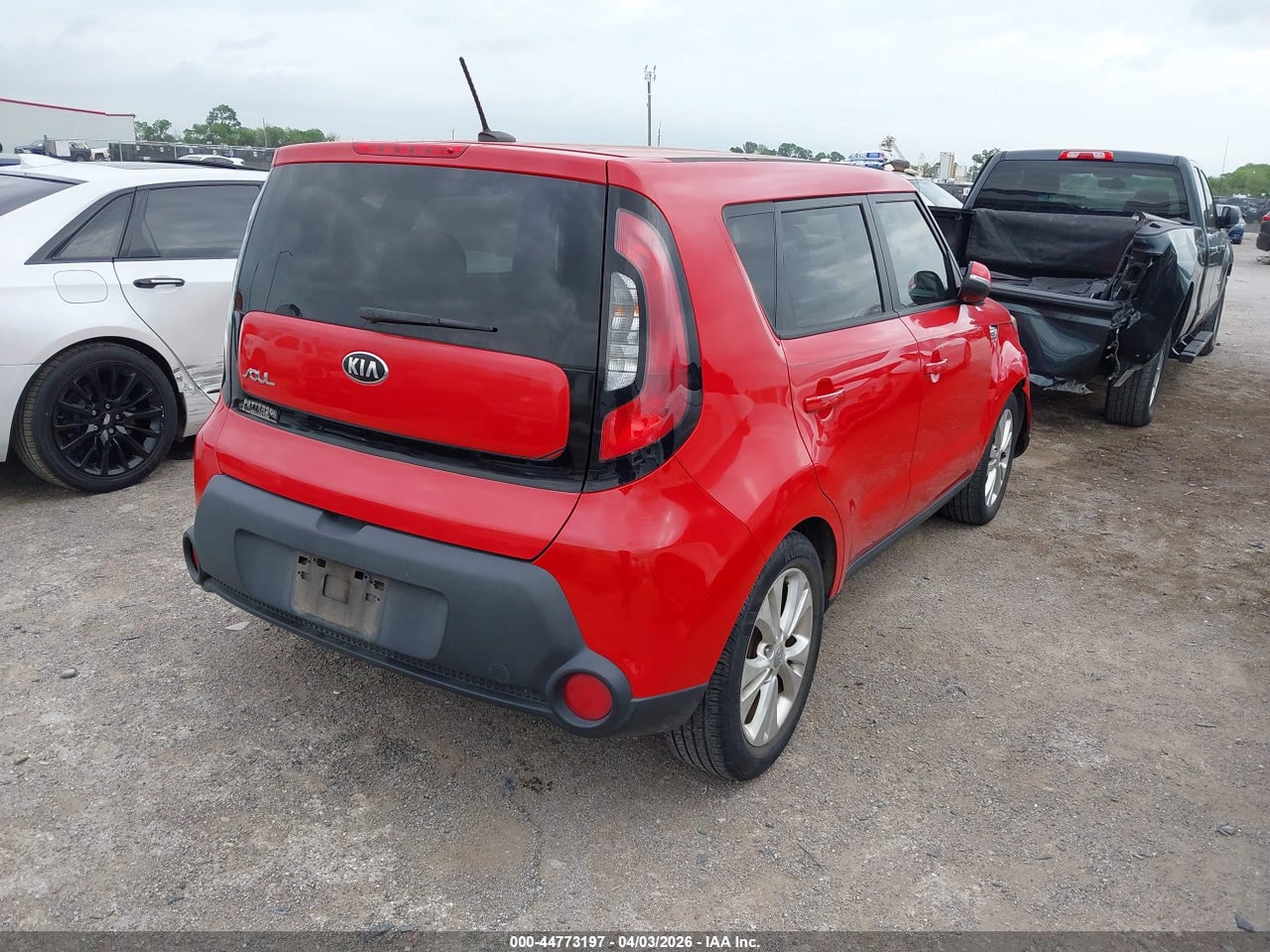 Image 4