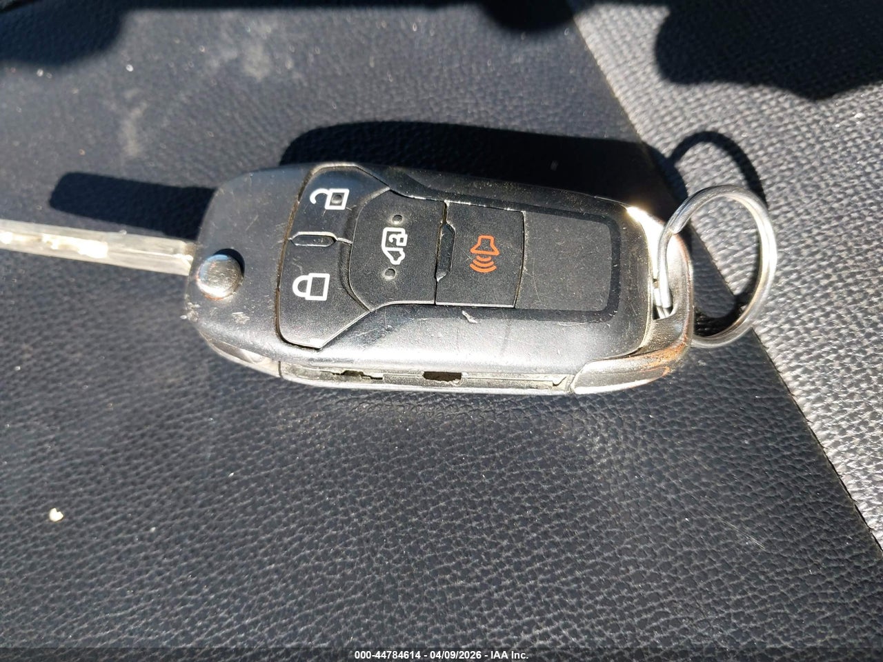 Image 11