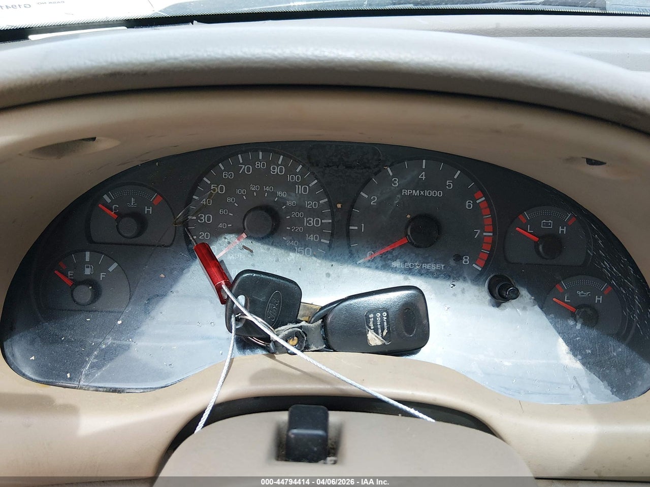 Image 11