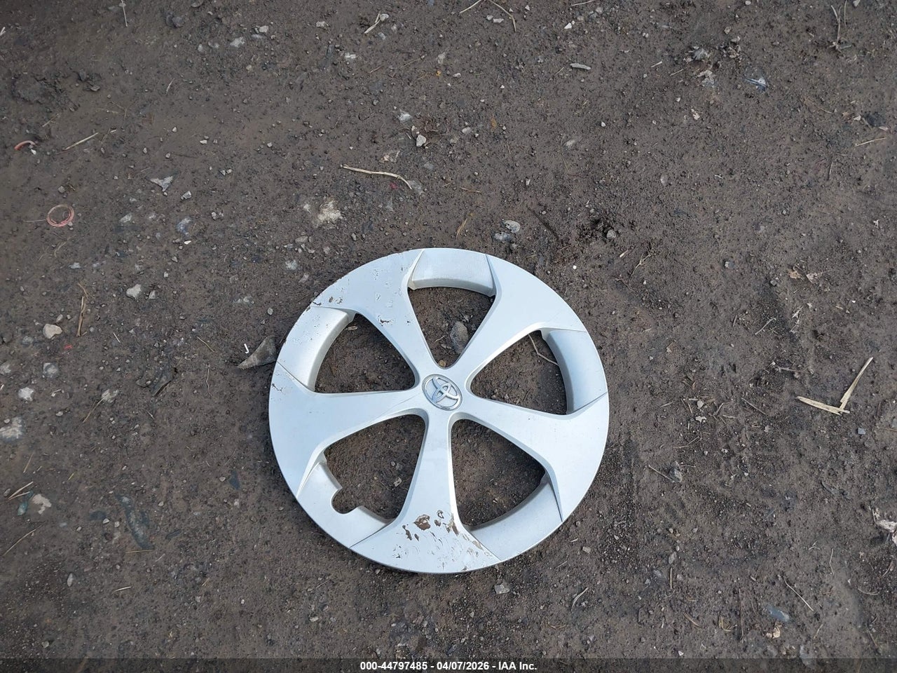 Image 12